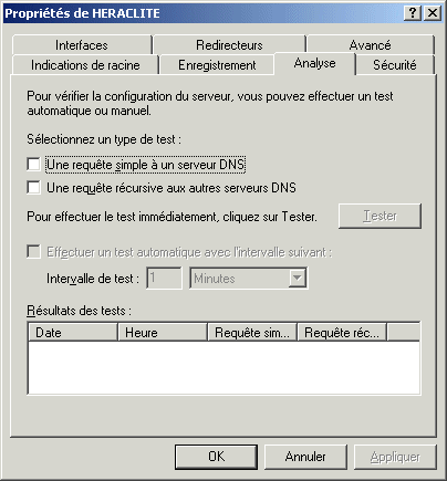 DNSProprietesServeurAnalyse.gif (11419 octets)