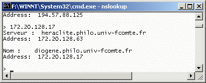 NSLookup172-20-128-17.gif (11070 octets)