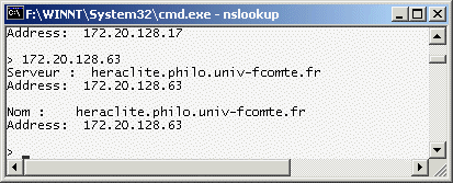 NSLookup172-20-128-63.gif (11081 octets)