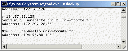 NSLookup194-57-88-125.gif (10865 octets)