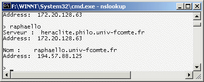 NSLookupRaphaello.gif (11031 octets)