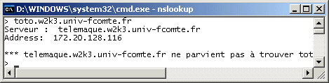 NSLookupTotoWk3Univ-fcomteFr.gif (7160 octets)