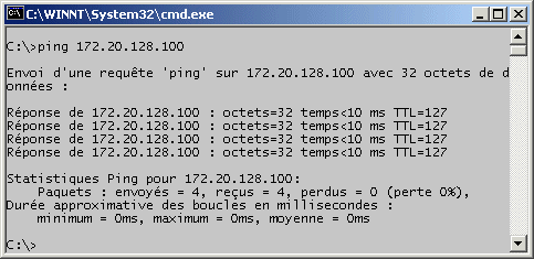 Ping01.gif (10253 octets)
