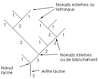 Image002.gif (3109 octets)