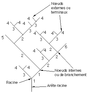 Image001.gif (3406 octets)