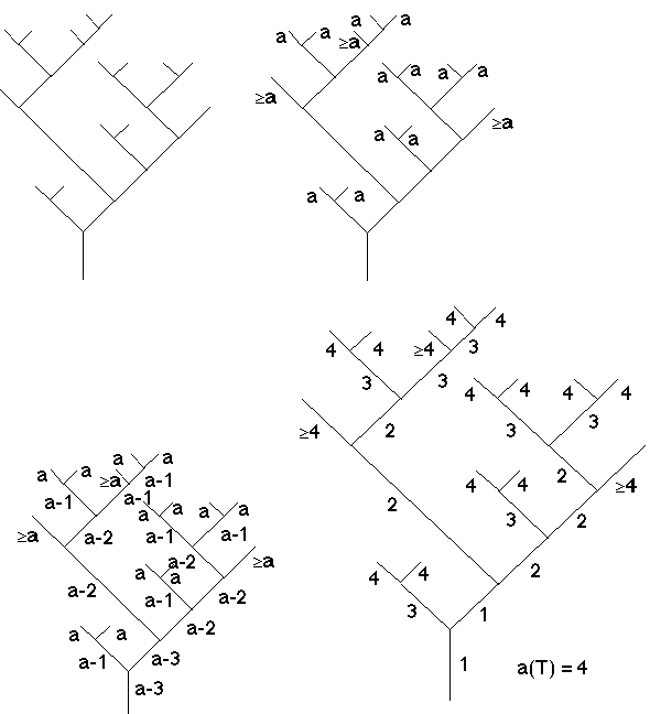 Image005.gif (8813 octets)