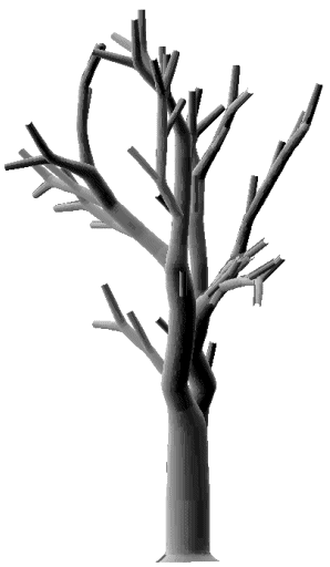 Image018.gif (19331 octets)