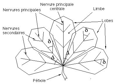 Image060.gif (5498 octets)