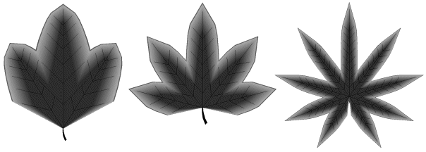 Image062.gif (22732 octets)