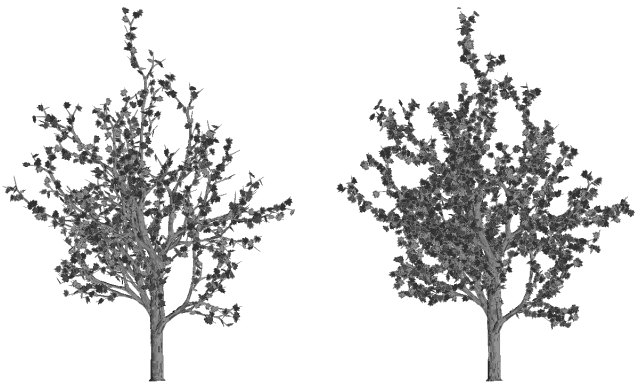 Image068.gif (49343 octets)