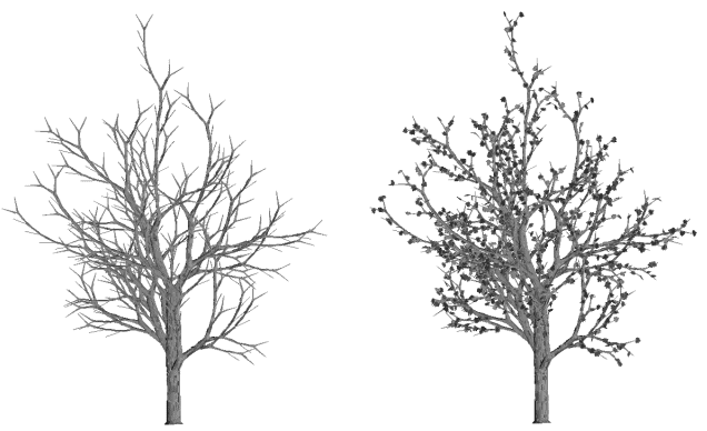 Image069.gif (37471 octets)