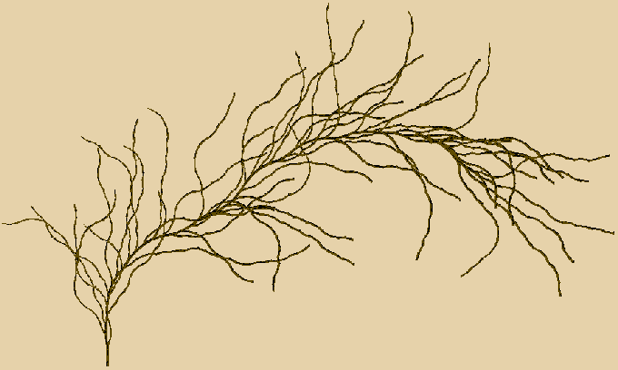 01a.gif (10831 octets)