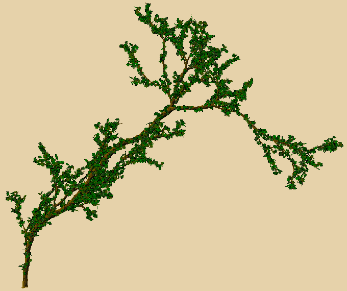 02a.gif (35536 octets)