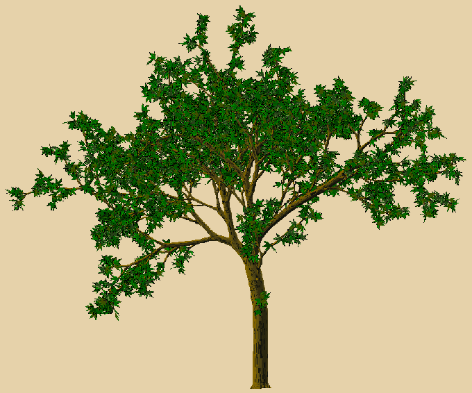 02b.gif (70337 octets)