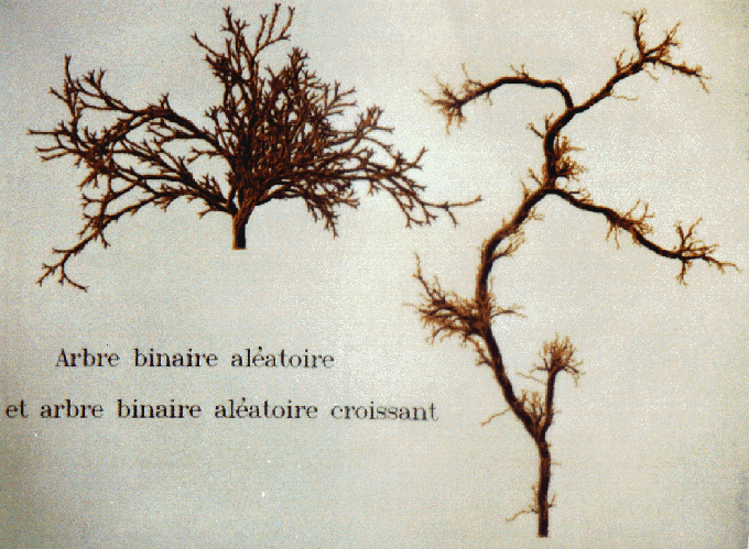 02c.gif (245517 octets)