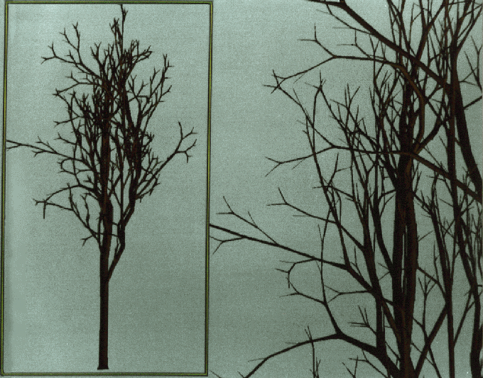 06b.gif (227991 octets)