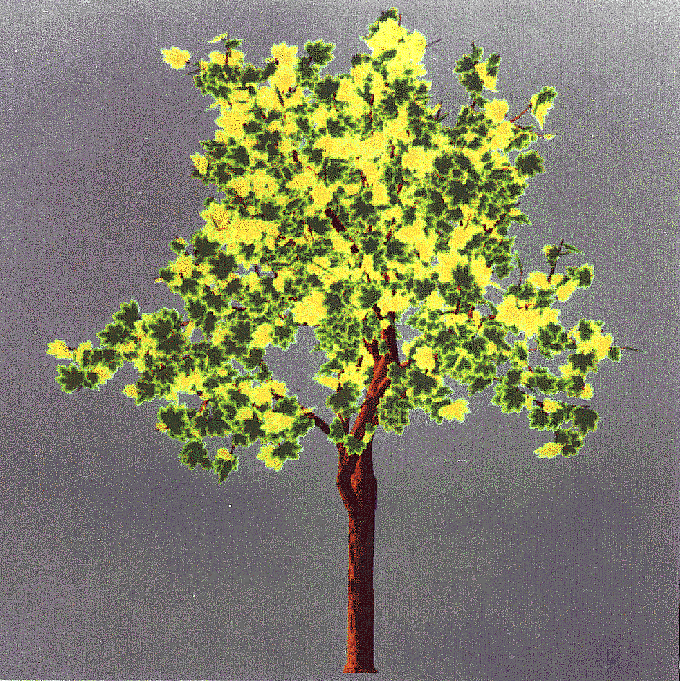 07a1.gif (414114 octets)