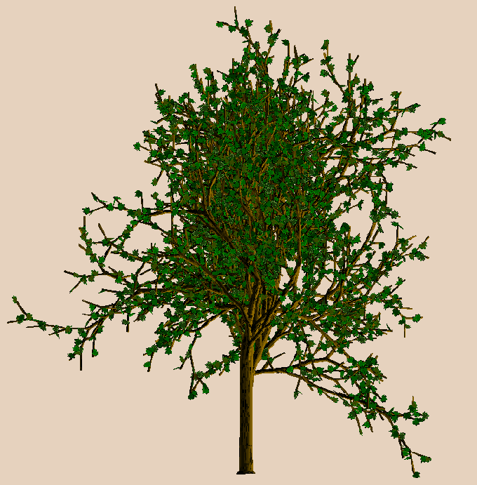 07a2.gif (85750 octets)