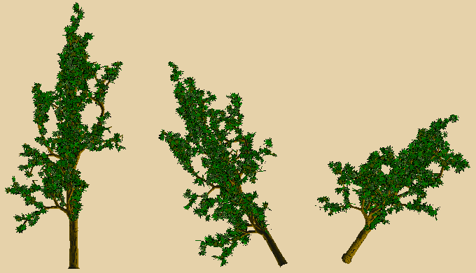 08a.gif (39982 octets)