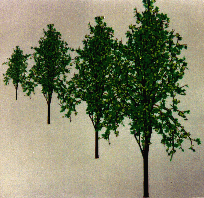 08b.gif (357614 octets)