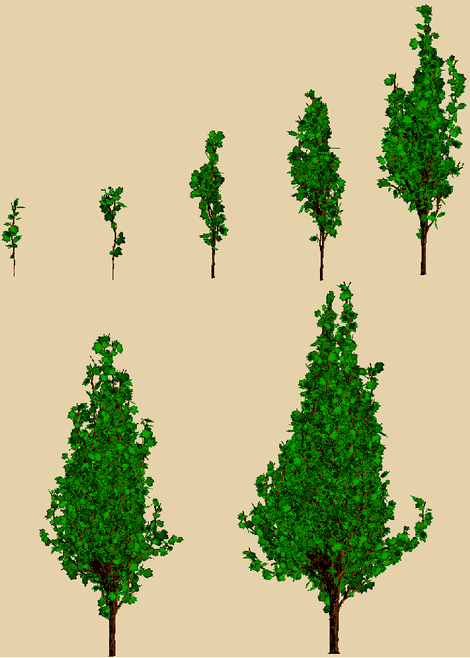 09.gif (86929 octets)