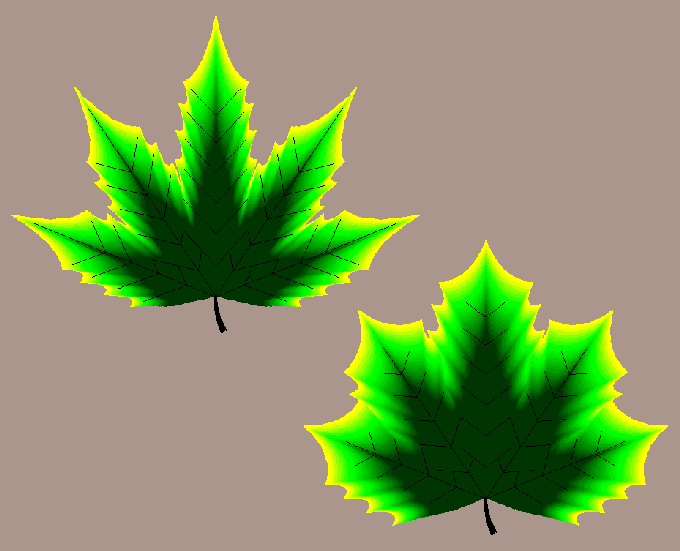 11c.gif (30745 octets)