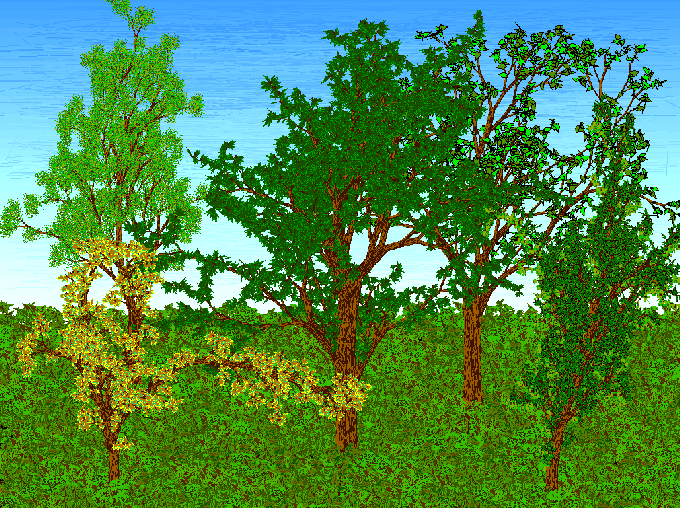 12a.gif (124403 octets)