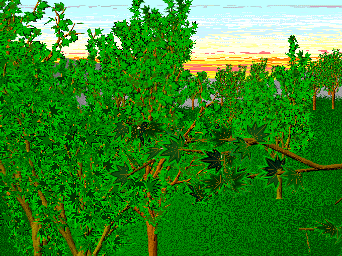 20.gif (156178 octets)