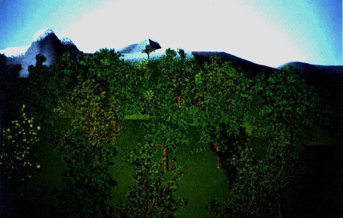 21a.gif (152771 octets)