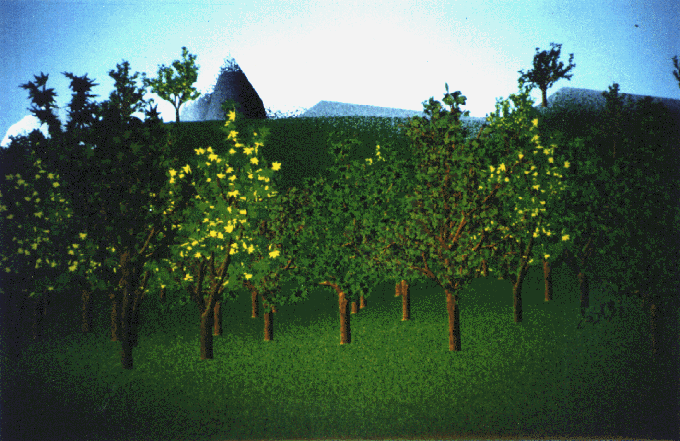 21b.gif (145057 octets)