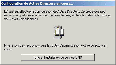 ADS17-ConfigurationEnCoursDNS02.gif (7715 octets)