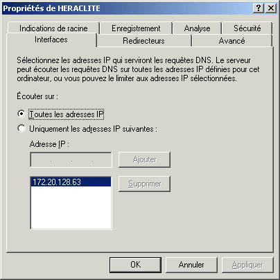 DNSProprietesServeurInterfaces.gif (10579 octets)